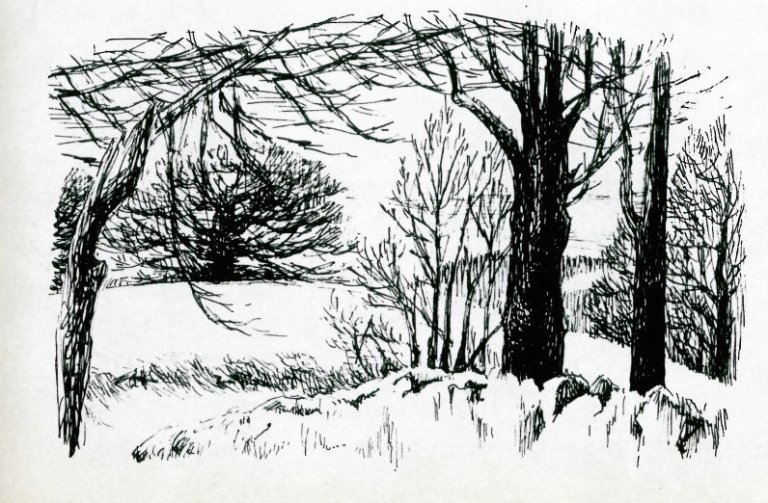 %5buntitled%5d001-55