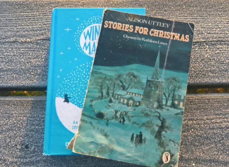 wp_20161201_08_49_05_pro-3