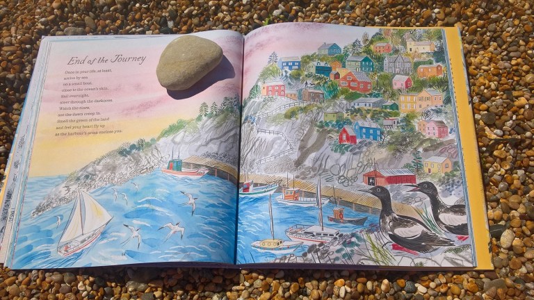 WP_20180715_12_07_50_Pro