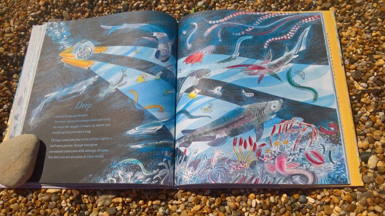 WP_20180715_12_08_08_Pro